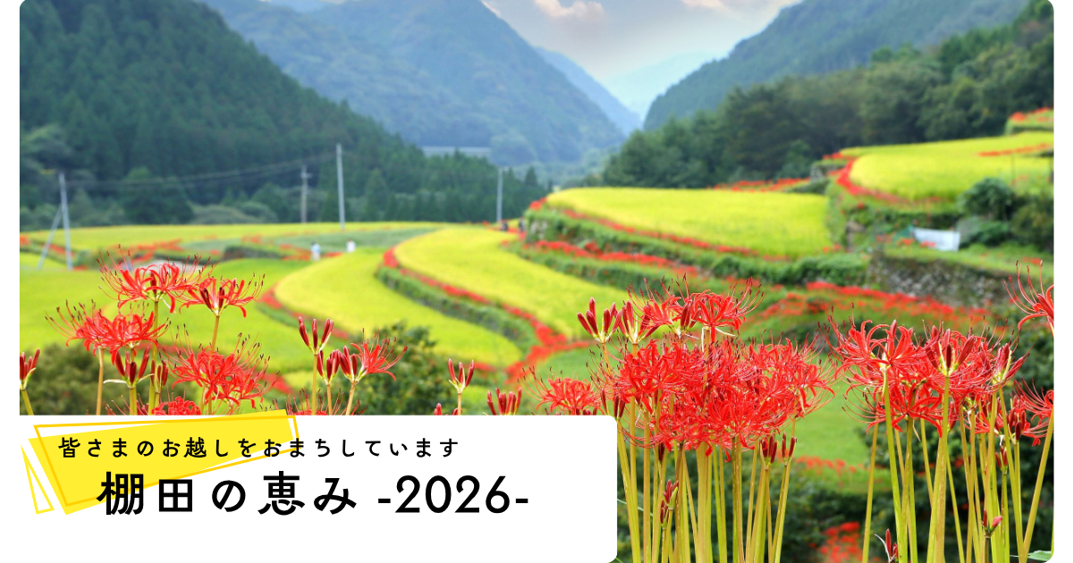 棚田の恵み 2026